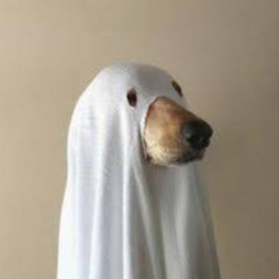 Eduardi62648530's profile picture. 