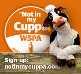 MollytheCowWSPA's profile picture. Moo has been to the mega dairy and back. Support the Not in My Cuppa campaign against mega dairies at http://t.co/5kzxRZoJlC and http://t.co/9iEgCAAWEy