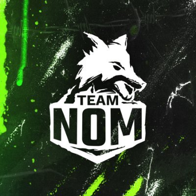 TeamNoM Profile