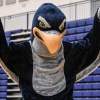 Sparky (@birdisthaword13) 's Twitter Profile