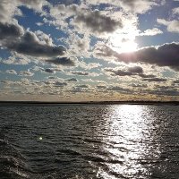NY_Animal_Lover_64 (@1_maga_ny) 's Twitter Profile
