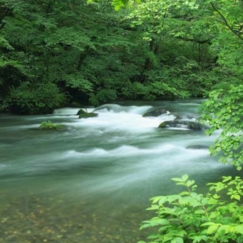 RB_NAVI's profile picture. 女性にとって癒しと美容は必要不可欠なものです。参考になる情報を呟きます。フォロー返し100％です！