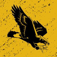 Big Gold Nation (@biggoldnation) 's Twitter Profile