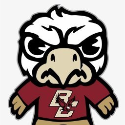 Boston College Eagle. #RollEags 🌊#FTT🦅🦅🦅🦅🦅