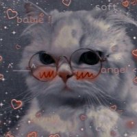 Матвейка Вронский||Бипка (@sova3108) 's Twitter Profile