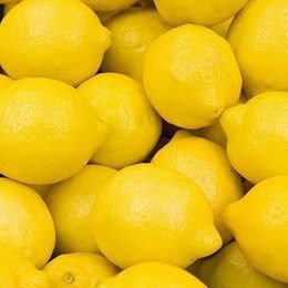 lemon