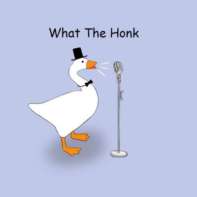 Zoologist wannabe and a computer scientist decided to make a comedic podcast about animals