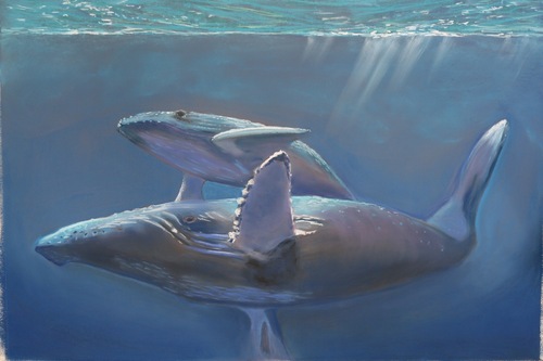 WestWhales, incorporated in 1989, works in collaboration with DBCA (WA) providing volunteer assistance at marine mammal strandings in Western Australia.