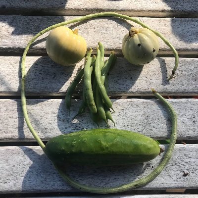 I'm a Permaculture Homesteader, raising my own food. I buck the system. Striving for independence, sustainable food production and decentralized finance.