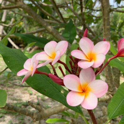 jam310's profile picture. ヨガが大好きですo(^-^)o