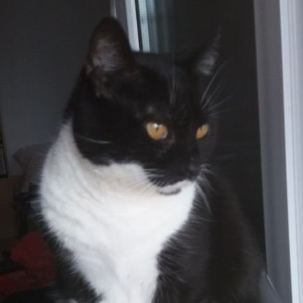 fringe_coin's profile picture. 