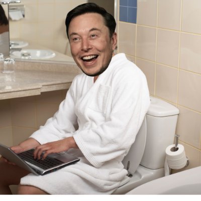 Elon's Tweets from the porcelain throne (parody) - while dropping little friends off at the pool giga chad energy from elon