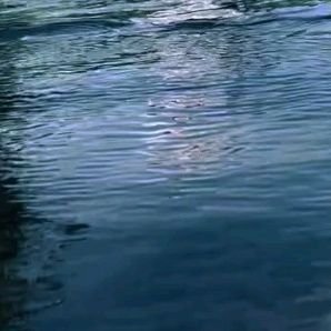 binghongcha19's profile picture. 