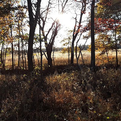 CosHorizons's profile picture. 