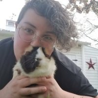 Steph (@bookish_corgi) Twitter profile photo