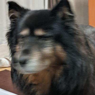 マーシェさんのプロフィール画像