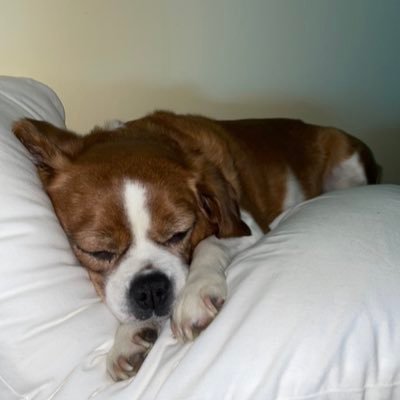 HannahTom0017's profile picture. 