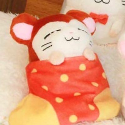 ʕ•́ᴥ•̀ʔさんのプロフィール画像