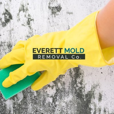 Everett Mold Removal CO. is a professional mold company doing business in Everett WA.