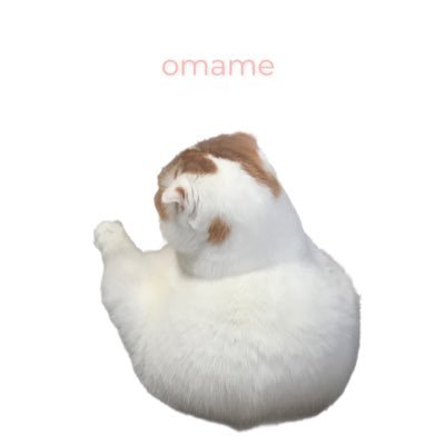おまめさんのプロフィール画像