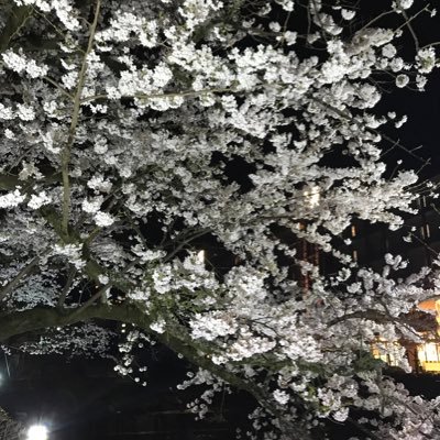 kubagasaya's profile picture. 