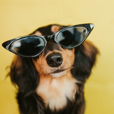 somebody_frm_zw's profile picture. Whatever you are, be a good one.