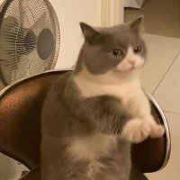 89% (@ap_apollo007) 's Twitter Profile