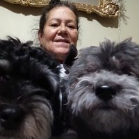 Solo Dios (@moradiazj) 's Twitter Profile