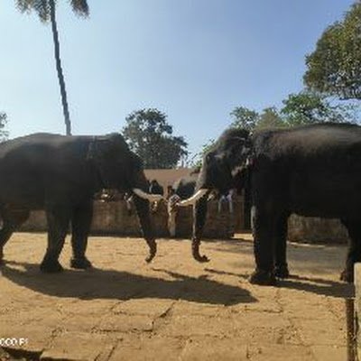 Barda41002389's profile picture. 