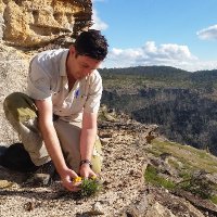 Gavin Phillips (@seedygav) 's Twitter Profile Photo Gavin Phillips (@seedygav) 's Twitter Profile Photo