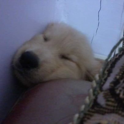 Anandita⸆⸉ || TAYRONTO N2! 🥹