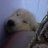 andylovestay07's profile image