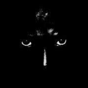 Eric Mbiu (@e_mbiu) 's Twitter Profile Photo