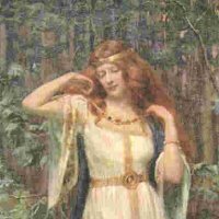 0xNona 🔺 (@spoingus2) 's Twitter Profile