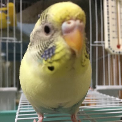 liukn1452698's profile picture. 