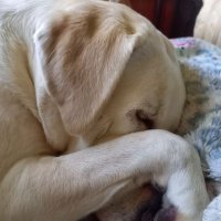 Barbara S (@barbarastiles8) 's Twitter Profile