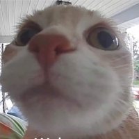 Mo (@mohamada_0) 's Twitter Profile Photo