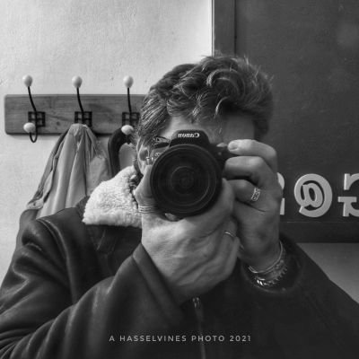 hasselvines Profile Picture