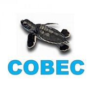 Community Based Environmental Conservation (COBEC)(@cobecnet) 's Twitter Profile Photo