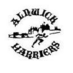 alnwickharriers (@alnwickharriers) Twitter profile photo