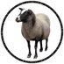 【公式】ヒツジのいらない枕®︎ (@_hitsuji_zzz) Twitter profile photo 【公式】ヒツジのいらない枕®︎ (@_hitsuji_zzz) Twitter profile photo