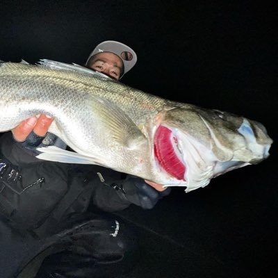 stoicangler's profile picture. 浜名湖、田原サーフをメインに幅広くソルトのルアーフィッシングをやっております。