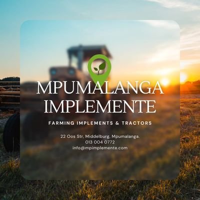 MpImplemente's profile picture. 