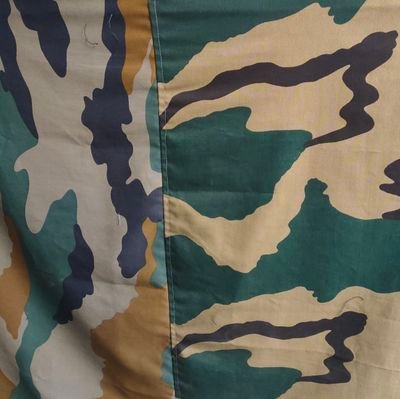 Master Singh Profile