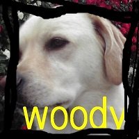とつー.ととと (@jg0axt) 's Twitter Profile