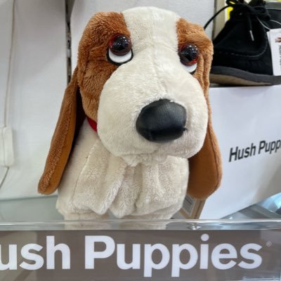 HushPuppies_S2's profile picture. イワマ靴店一番町店👞 適当でいいかげんな性格 別名高田純子 仕事は良い加減で頑張ってます😁