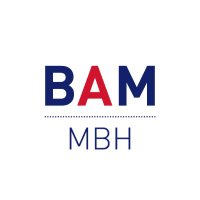 BAM Management and Business History SIG(@BAMHistory) 's Twitter Profile Photo