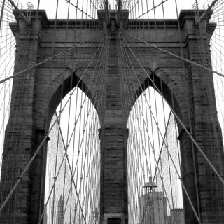 HGMeng's profile picture. 