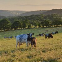 @ruralfutureshub (@ruralfutureshub) 's Twitter Profile