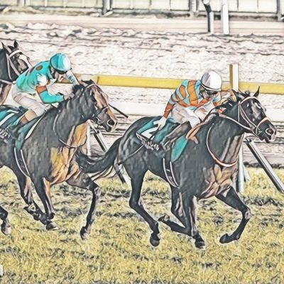 MIZUKI 競馬アナリストさんのプロフィール画像